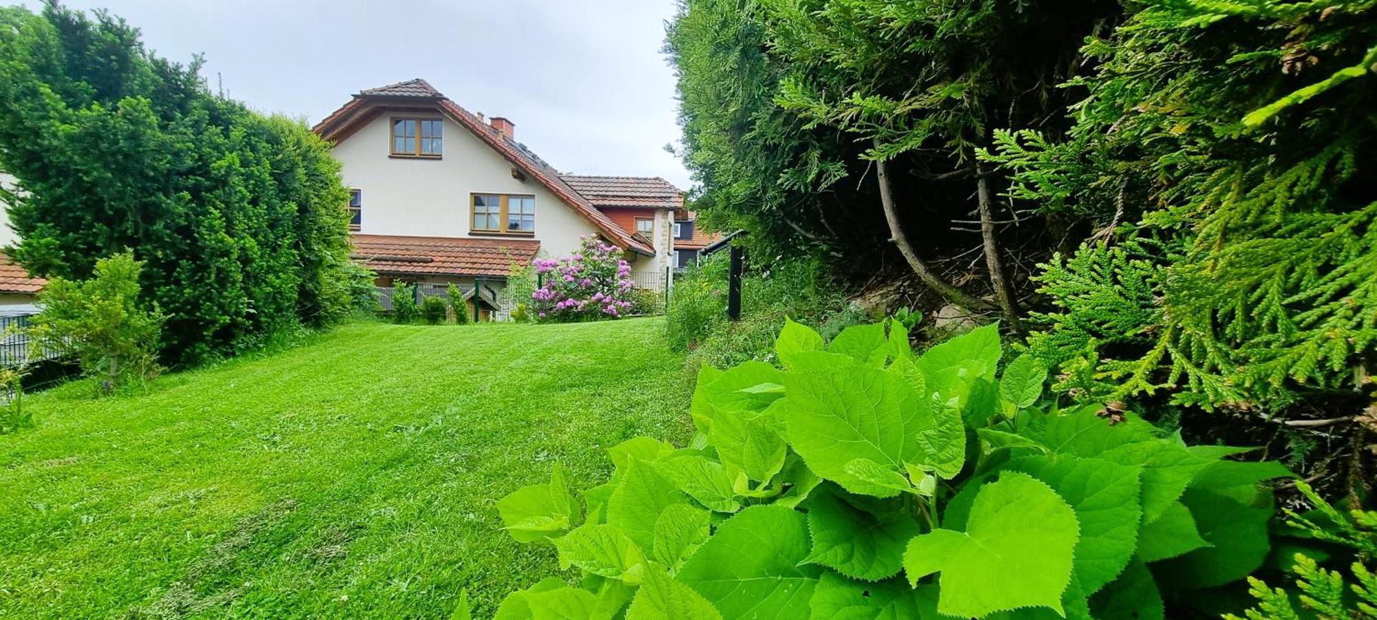 Haus Siggi Villa Braunlage Exterior photo