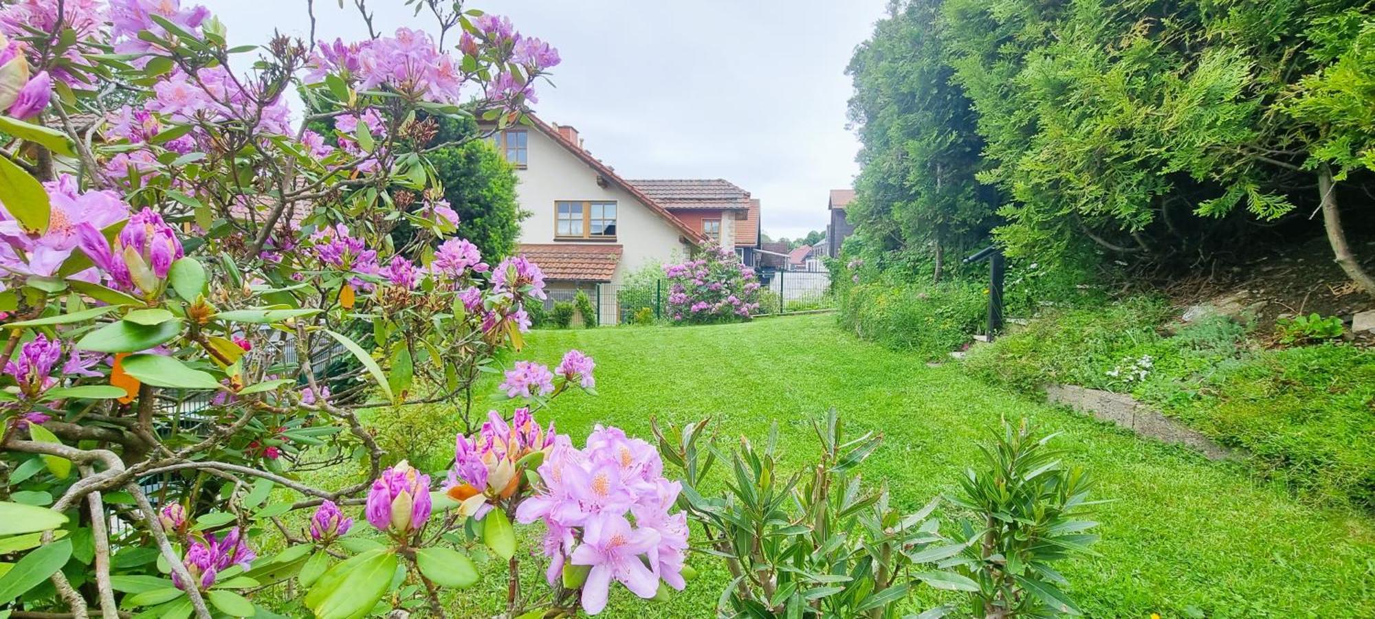 Haus Siggi Villa Braunlage Exterior photo